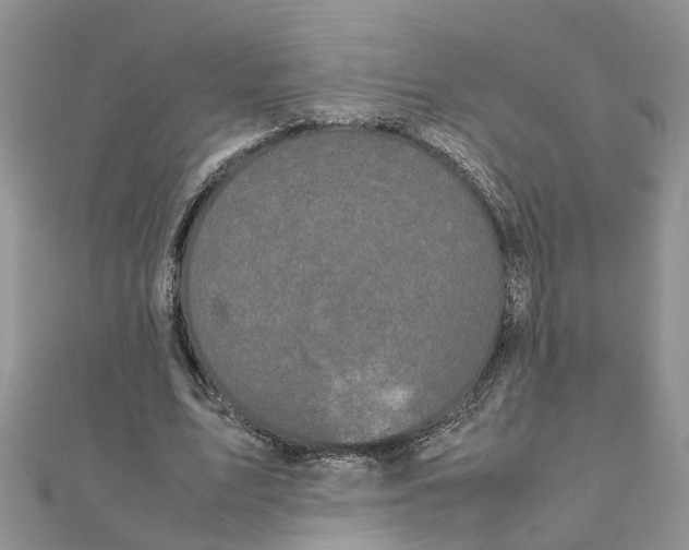 X0000111500583200908111248