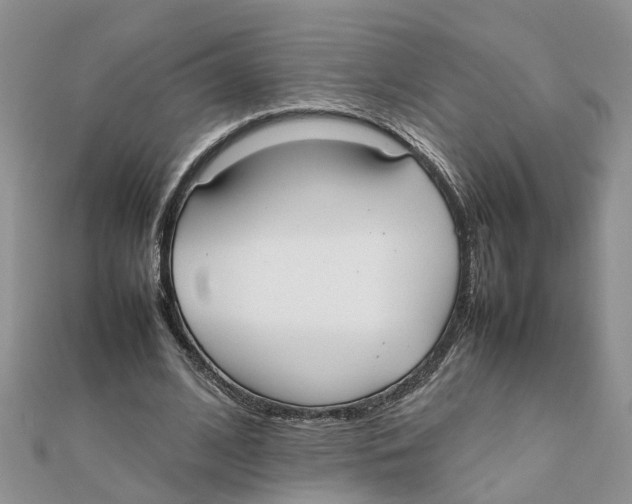 X0000111500584200908111248