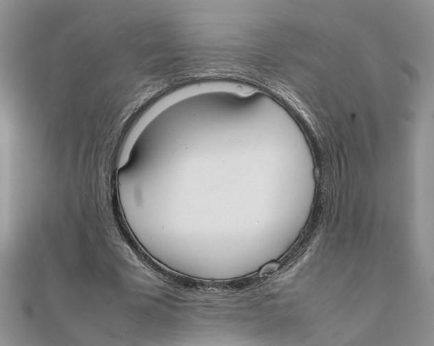 X0000111500585200908111248