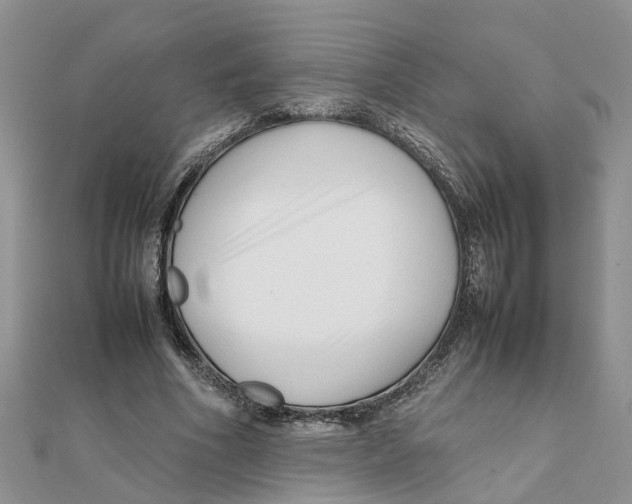 X0000111500586200908111248