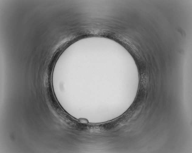 X0000111500587200908111248