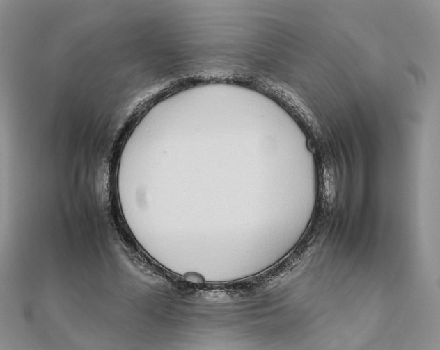 X0000111500588200908111248