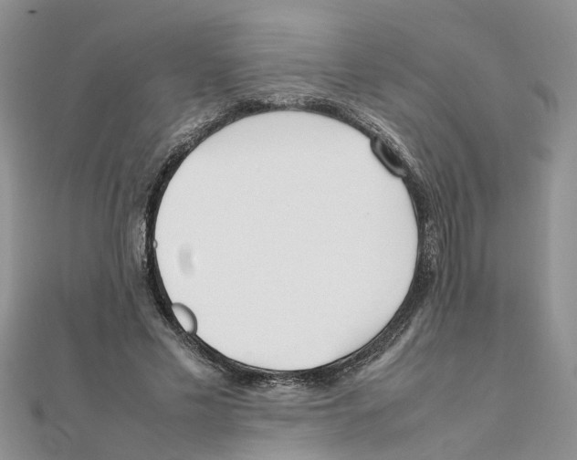 X0000111500589200908111248