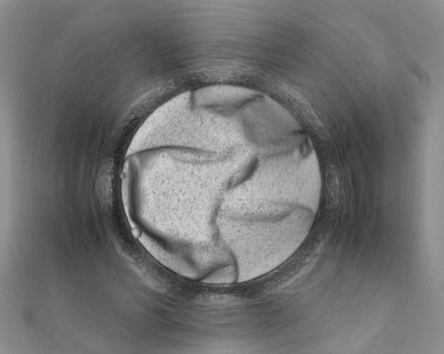 X0000111500590200908111248