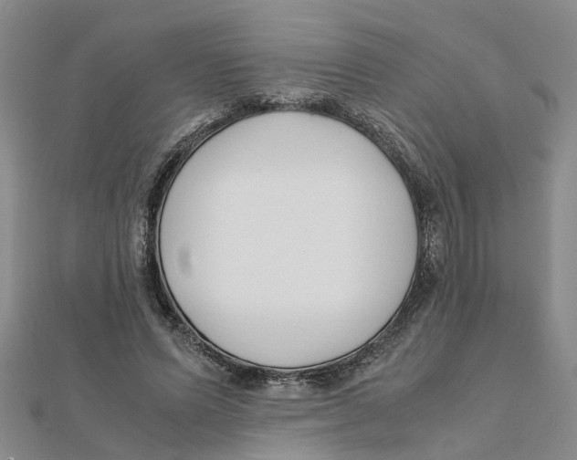 X0000111500591200908111248