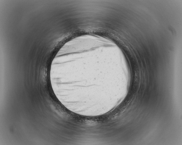 X0000111500592200908111248