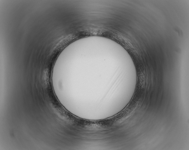 X0000111500594200908111248