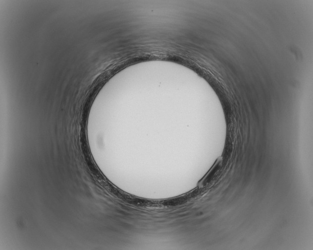 X0000111500595200908111248