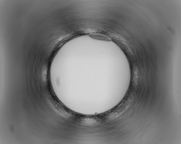 X0000111500596200908111248