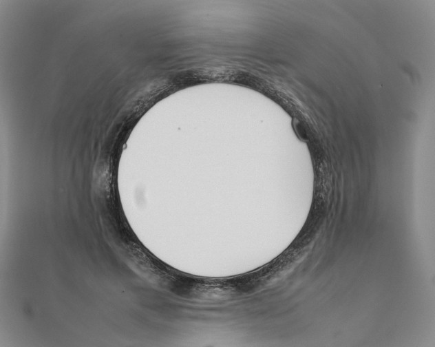 X0000111500597200908111248