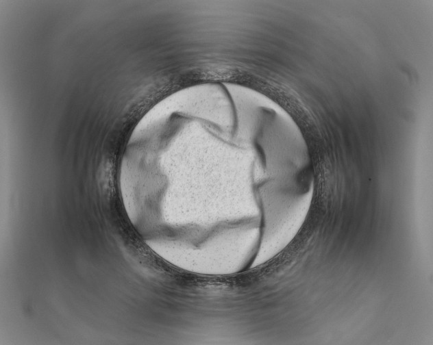 X0000111500598200908111248