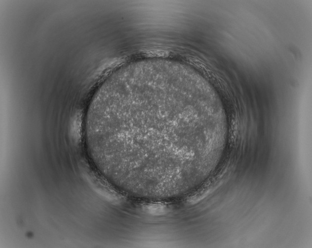 X0000111500600200908111248