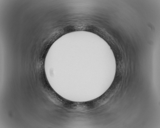 X0000111500601200908111248