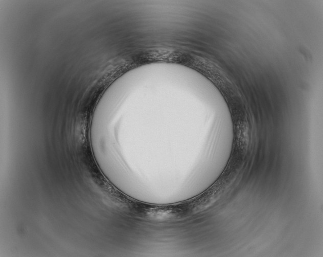 X0000111500602200908111248