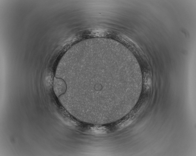 X0000111500603200908111248