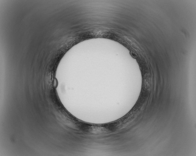 X0000111500605200908111248