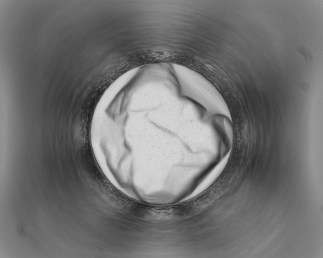 X0000111500606200908111248