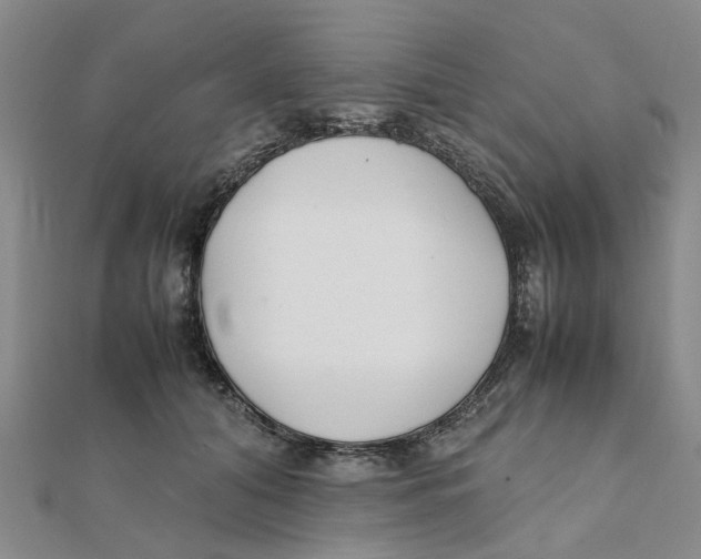 X0000111500608200908111248