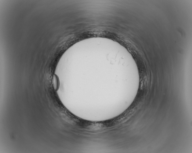 X0000111500609200908111248