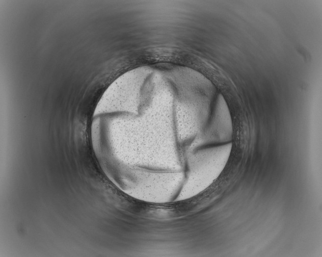 X0000111500610200908111248