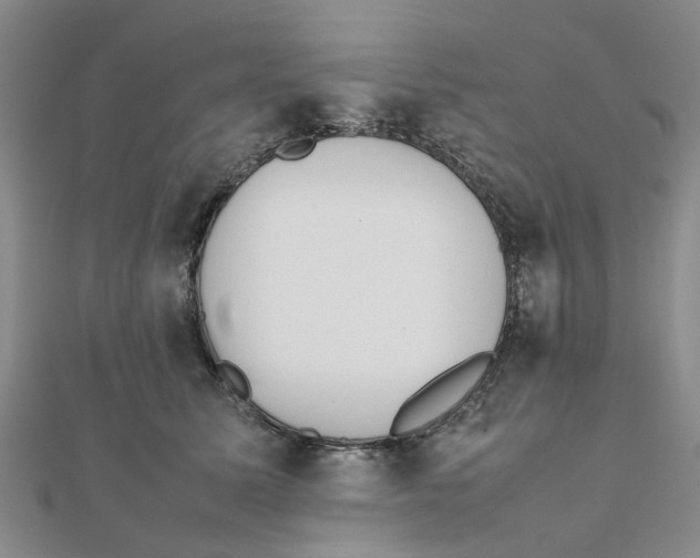 X0000111500611200908111248