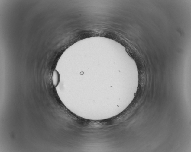 X0000111500613200908111248