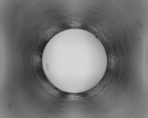 X0000111500614200908111248