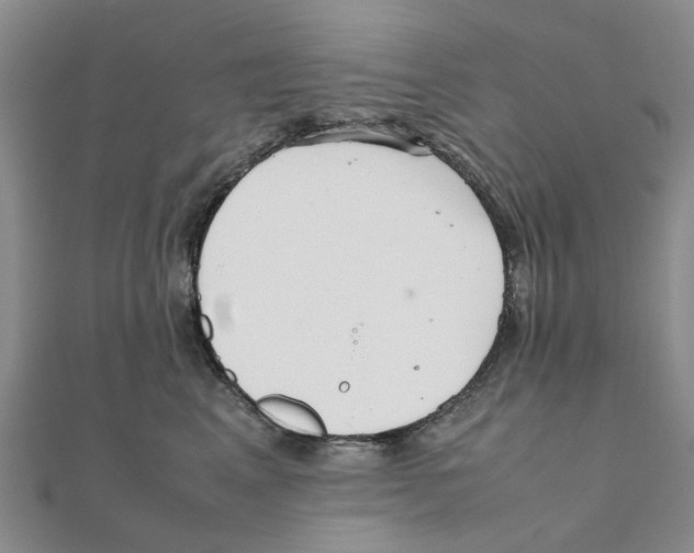 X0000111500617200908111248