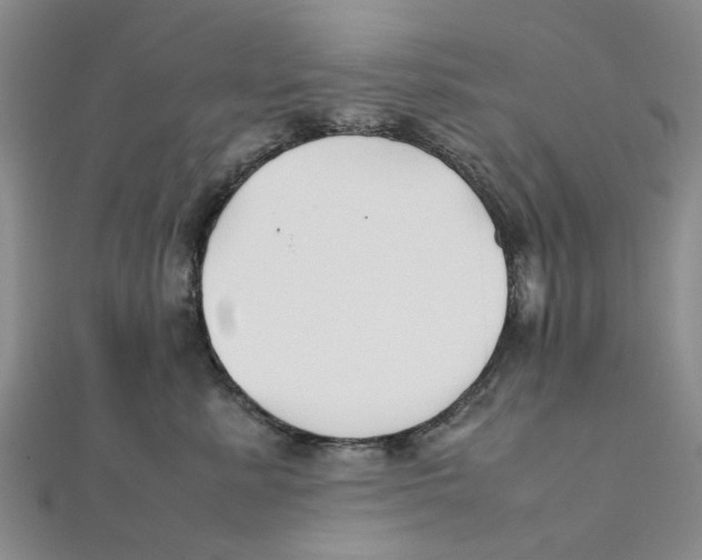 X0000111500619200908111248