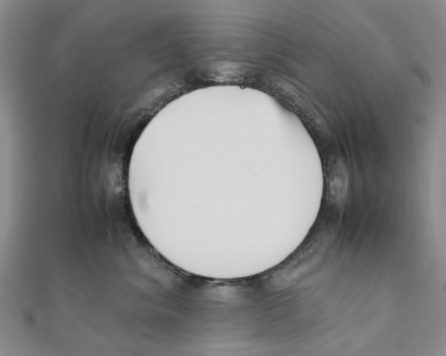 X0000111500620200908111248