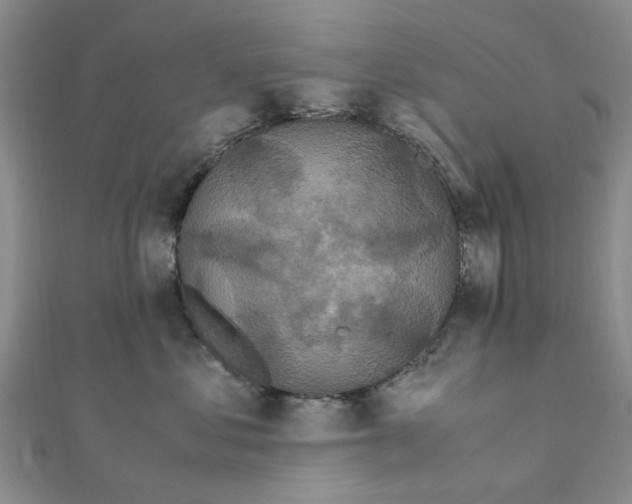 X0000111500621200908111248