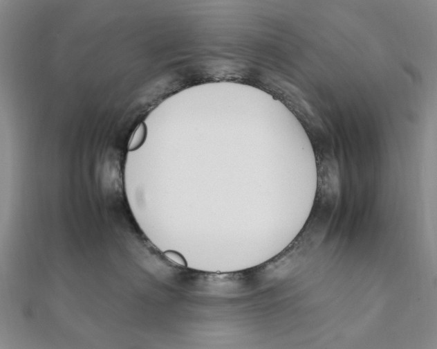 X0000111500622200908111248