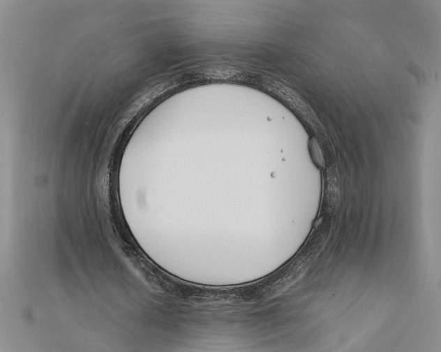 X0000111500626200908111247