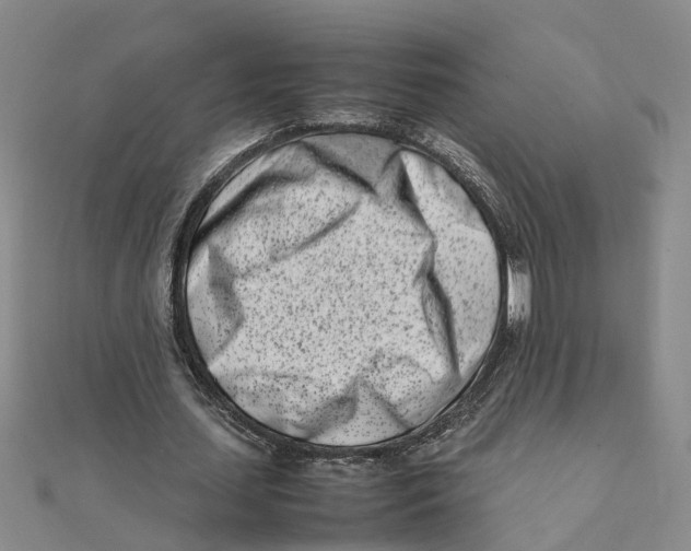 X0000111500627200908111247