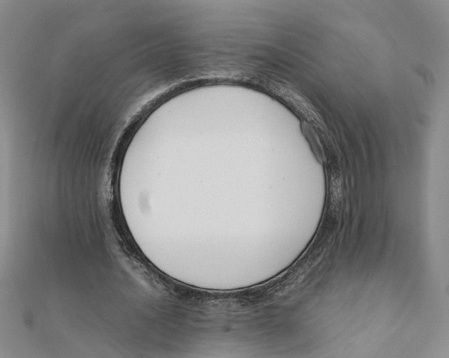 X0000111500628200908111247