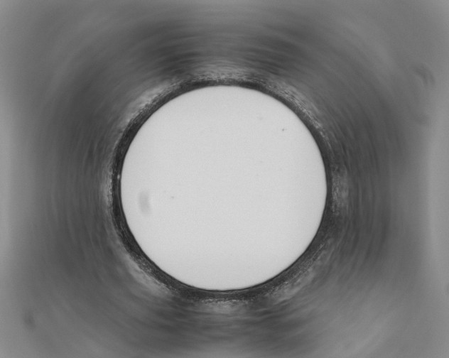 X0000111500629200908111247