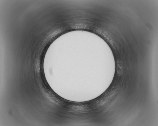 X0000111500631200908111247