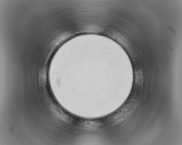 X0000111500632200908111247