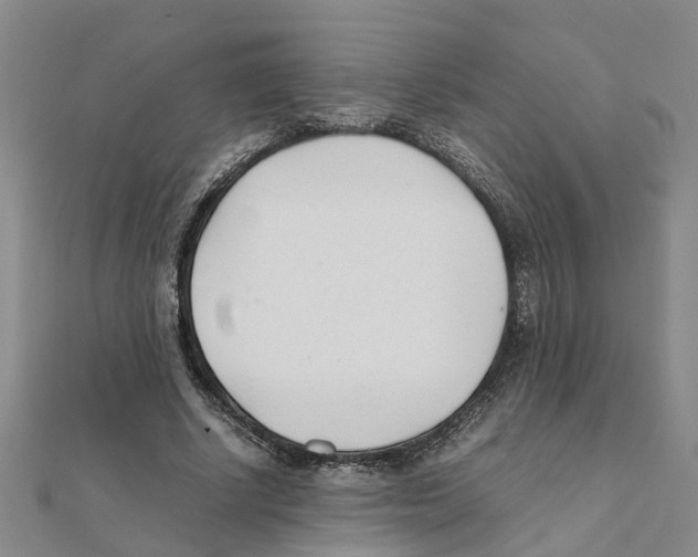 X0000111500634200908111247