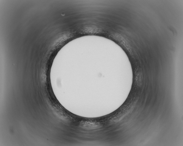 X0000111500635200908111247