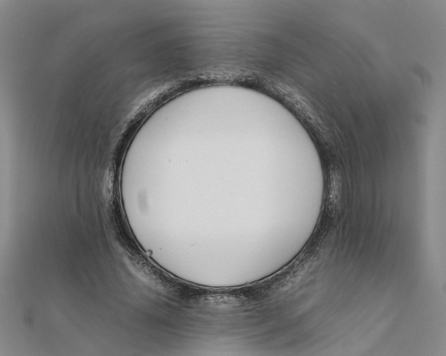 X0000111500636200908111247