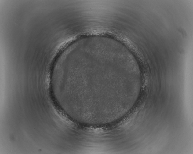 X0000111500640200908111247