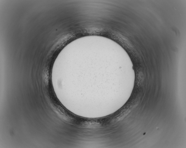 X0000111500644200908111247