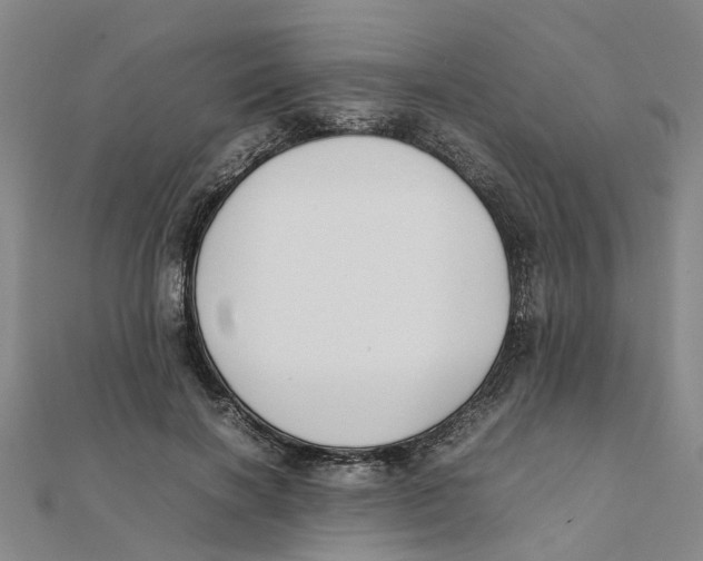 X0000111500646200908111247