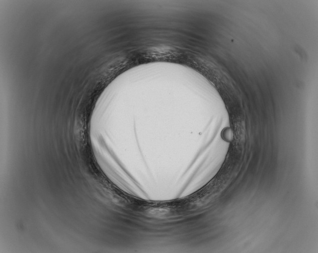 X0000111500653200908111247