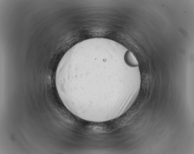 X0000111500655200908111247