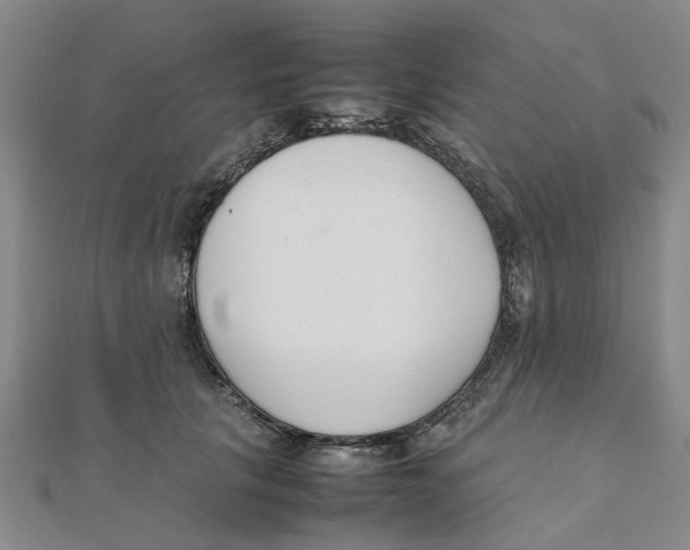 X0000111500657200908111247