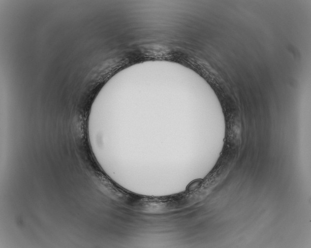 X0000111500658200908111247