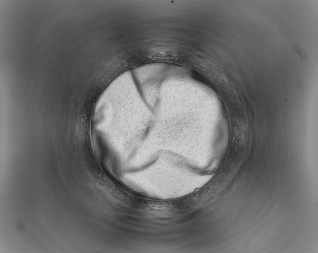 X0000111500659200908111247