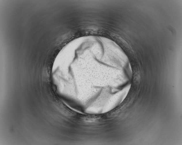 X0000111500661200908111247